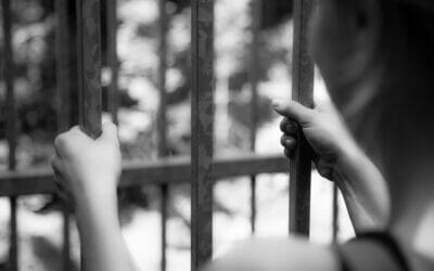 Assistance for Incarcerated and Reentering Domestic Violence Survivors
