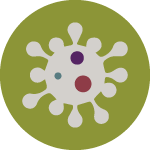 COVID-19 Response