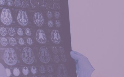 An emerging understanding: brain injury deeply impacts domestic violence survivors